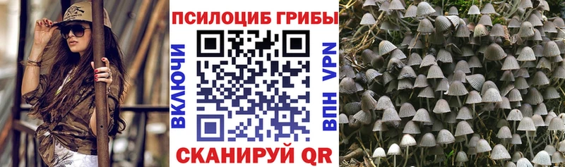 купить закладку  Феодосия  Псилоцибиновые грибы GOLDEN TEACHER 